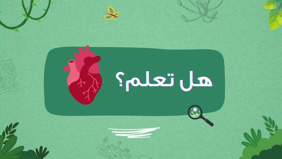 يدق قلبك حوالي