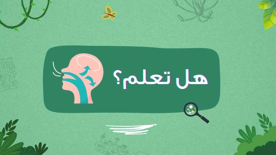 الشخص العادي ياخذ ما بين..