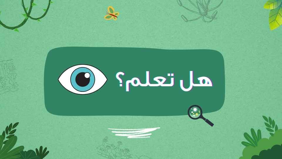 يمكن للعين البشرية الكشف