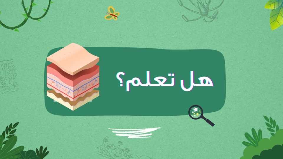 يفرز جسم الانسان